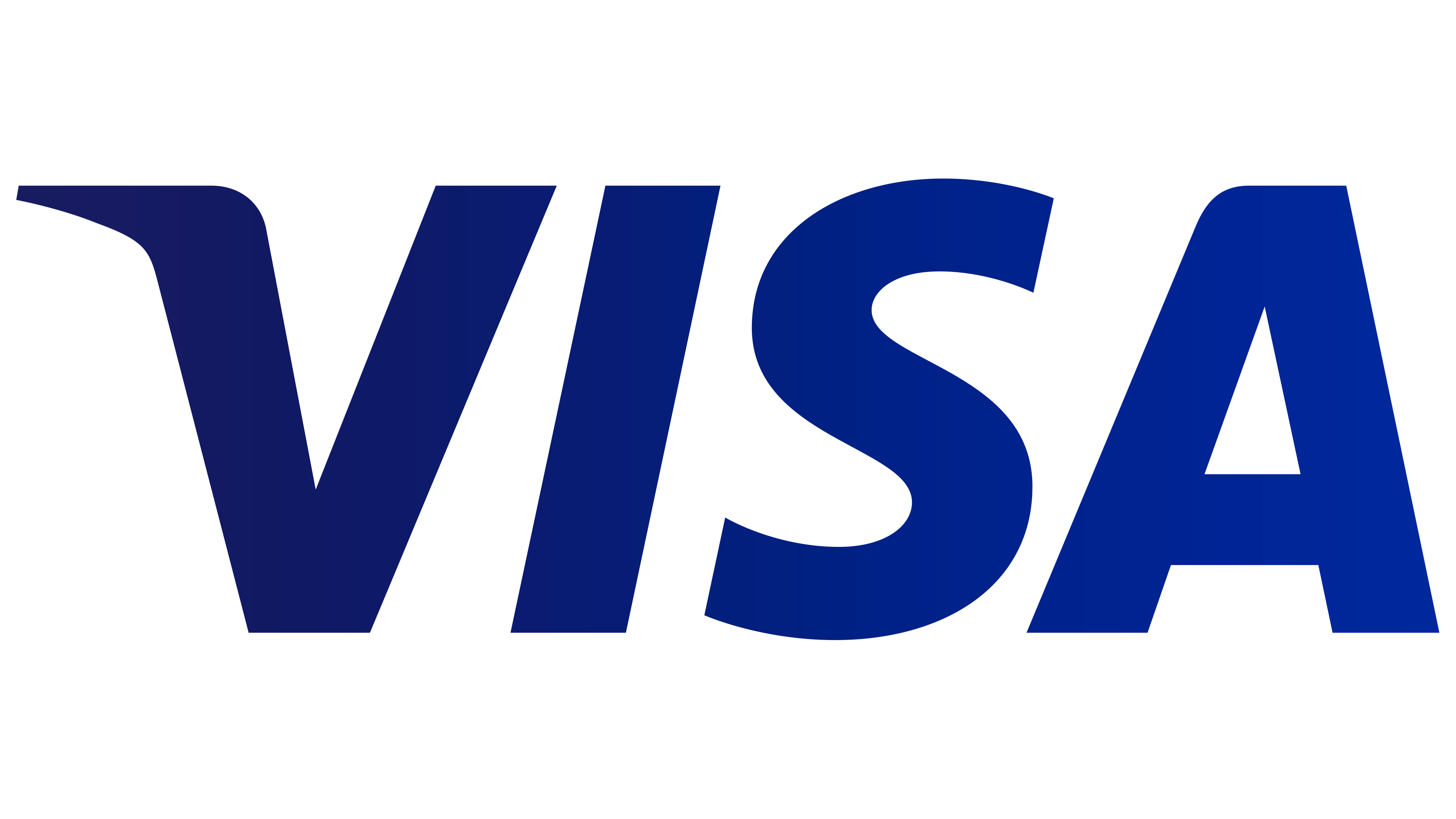Visa card icon